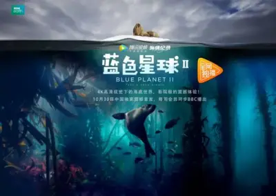 阿强爱分享剧照2