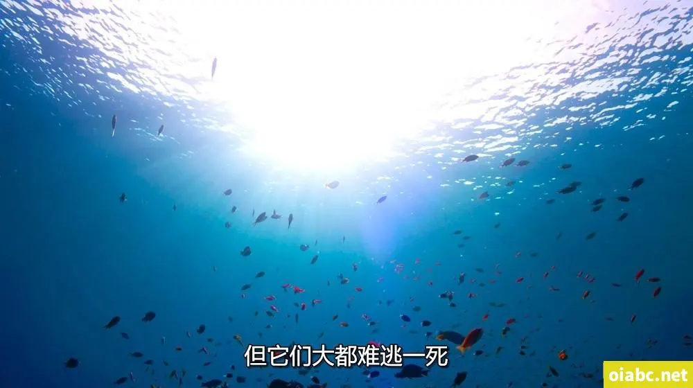 足浴会所撩良家女技师剧照1